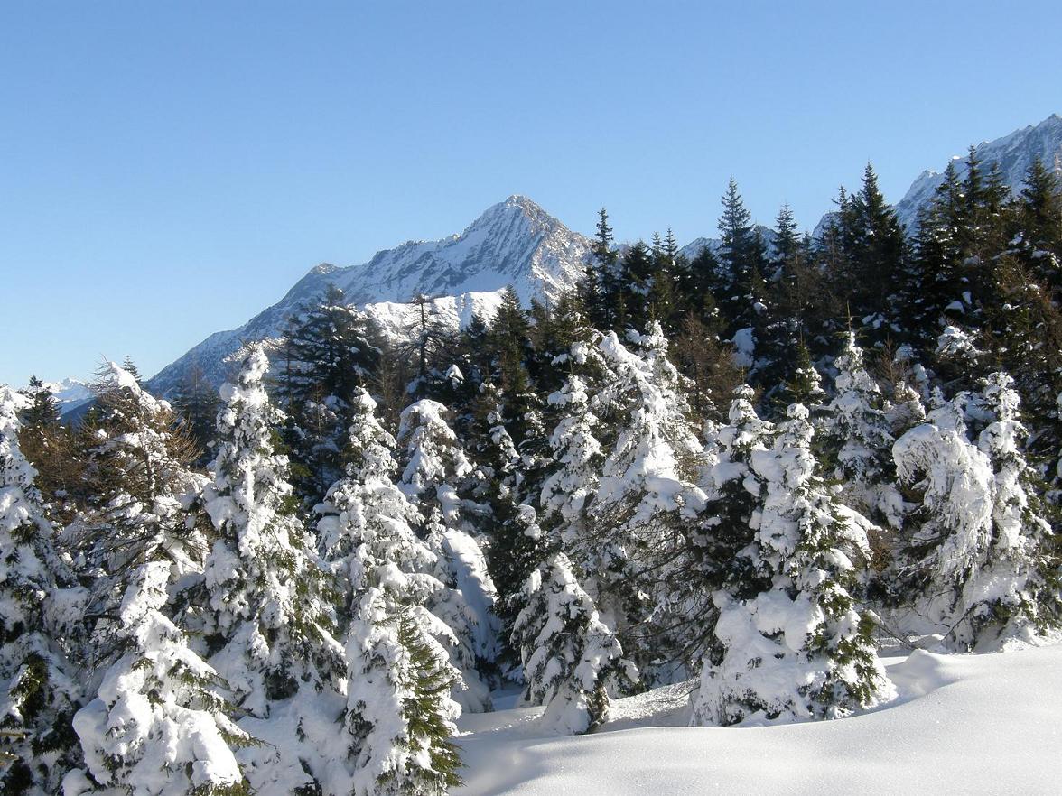 Con le ciaspole sul Piz Tri